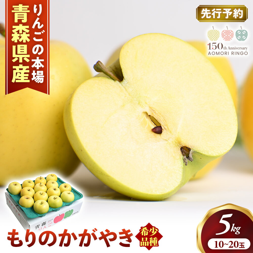 【ふるさと納税】希少！青森りんご【もりのかがやき】約5kg（10〜20玉）【2026年産・先行予約】★2026年10月上旬〜10月下旬頃まで発送予定★りんご 林檎 リンゴ 国産 もりのかがやき 希少 フルーツ 果物 贈答 土産 青森県 三戸町