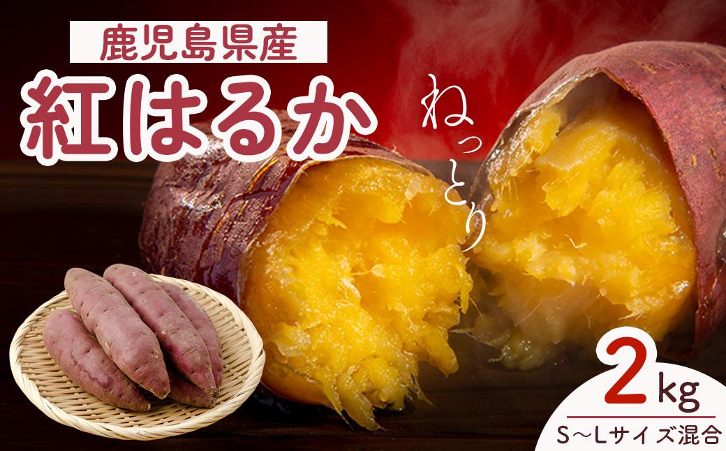 
            【先行予約】紅蜜芋　紅はるか　2kg
          