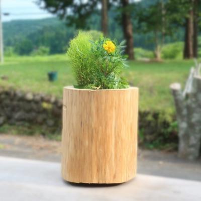 ふるさと納税 能代市 秋田杉の丸太プランター「生え杉くん(はえすぎくん)」縦長タイプ[No.5335-0256] |  | 02