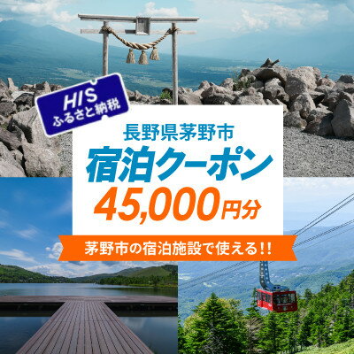 【ふるさと納税】HISふるさと納税宿泊予約専用クーポン(長野県茅野市)45,000円分【1698141】