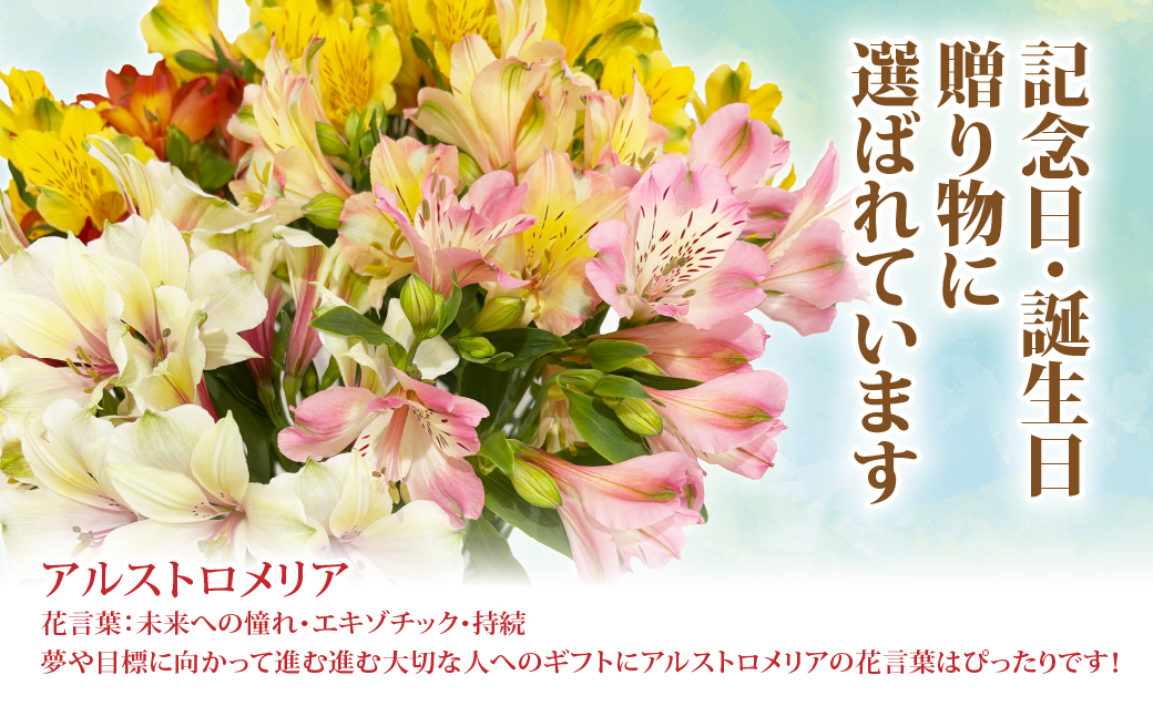 アルストロメリアの花束(30本) NABL001