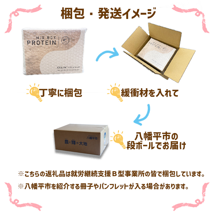 【エクサスリム】LCD プロテインミックス 3ヶ月定期便 ／個包装 ダイエット 美容 置き換え 【天真堂】