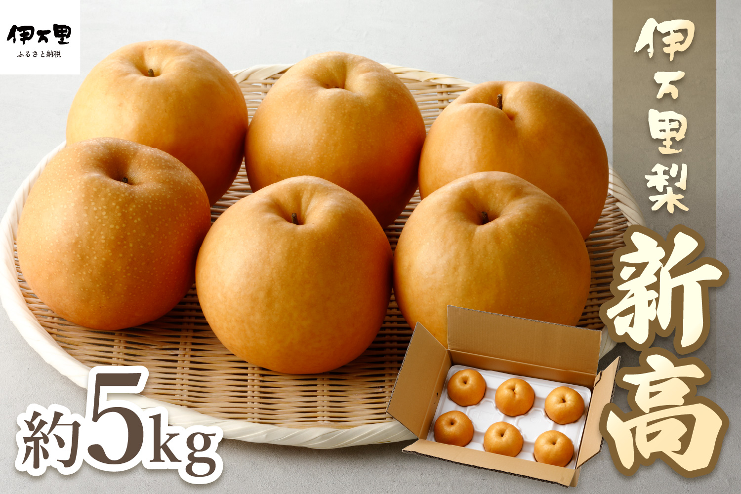 【2025年産先行予約】伊万里梨「新高」 5kg 大型種 B162