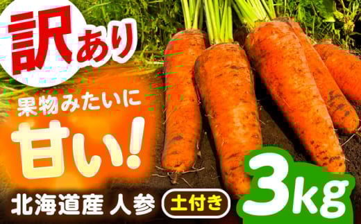 北海道 訳ありにんじん 3kg（土付き）《足寄町》【餌取農場】 北海道産 甘い 訳あり 人参 野菜 根菜 ニンジン 3kg 道産 キャロット 糖度高め サラダ ジュース 生鮮野菜　北海道産 あしょろ 足寄 [BEBA004]
