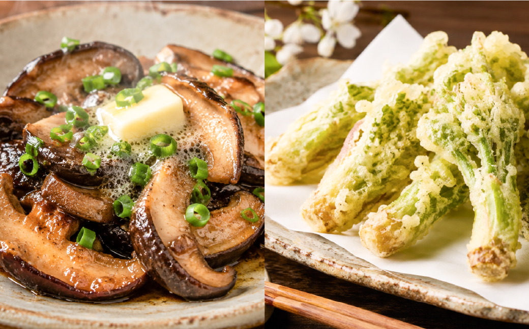 【定期便12回】久万高原 天空の旬野菜便【面河特産品開発センター厳選】｜野菜詰め合わせ 5?6品目 新鮮野菜 定期便 愛媛県産 産地直送