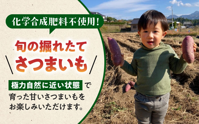 【先行予約】いちょうの畑　さつまいも 紅はるか 約5㎏ 【農事組合法人いちょう】 [YDN010]