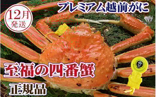 越前がに × 1杯（四番蟹）桐箱入り！至福のプレミアム越前がに【雄 ズワイガニ かに カニ 蟹 姿 生 ボイル 冷蔵 福井県】【12月発送分】【浜茹でお届け】希望日指定可 備考欄に希望日をご記入ください [e37-x007_12b]