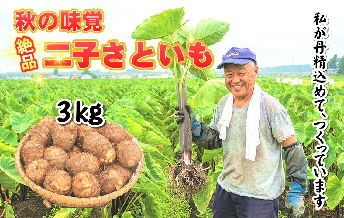 
9月中旬～発送【特産品！数量限定・期間限定】二子さといも　3㎏以上！
