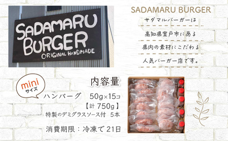 ハンバーガー屋の本気ハンバーグ960ｇ（120ｇ×8個） ＜ 国産 高知県産 牛肉 豚肉 ブランド肉 希少 土佐あかうし 四万十ポーク ＞ _sd021