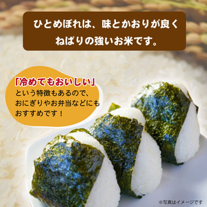 令和7年度産 ひとめぼれ 精米 10kg ／ 岩手県産 国産 雫石町 産 農家 直送 産地 直送 白米 米 こめ コメ ごはん はくまい ライス らいす ご飯 穂々ファーム