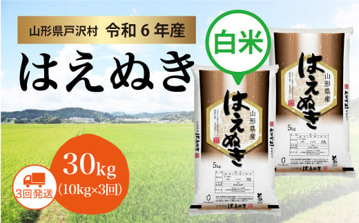 
            【令和6年産】 山形県産 はえぬき 【白米】 定期便30kg (10kg×3回) ＜配送時期指定可＞ 戸沢村
          