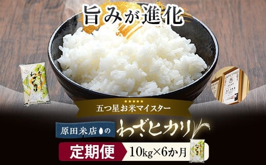 【6ｶ月定期便】 わざヒカリ 米 10kg(5kg×2) KSR-603
