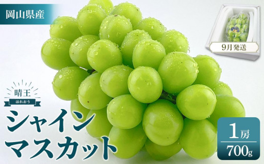 
                  2026年　　受付中　シャインマスカット　晴王　1房　約700g　【岡山県産 種無し 皮ごと食べる みずみずしい 甘い フレッシュ 9月～10月発送 晴れの国 おかやま ぶどう 葡萄 マスカット 果物大国 彩美菜果 岡山県 岡山市 おすすめ 人気】
                