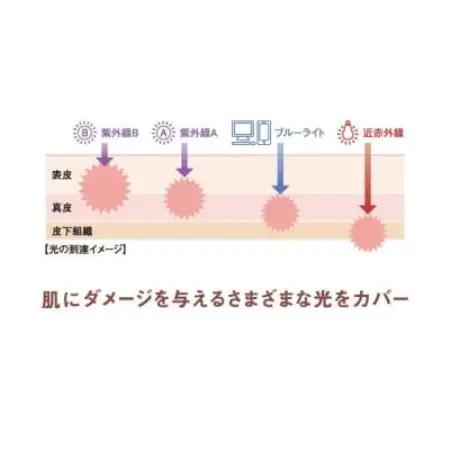 ドモホルンリンクル 光対策ドレスクリーム(日中クリーム)＆うるおいオイルミスト復活草【1786739】