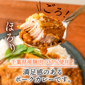 ポークカレー・チキンカレー2種セット(各4食入り)【配送不可地域：離島】【1399496】