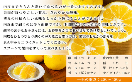 【先行予約】＜無茶々園のジューシーフルーツ（河内晩柑）約7kg＞ フルーツ 果物 かわちばんかん みかん ミカン 蜜柑 柑橘 期間限定 季節限定 食べて応援 特産品 愛媛県 西予市 【常温】『2027