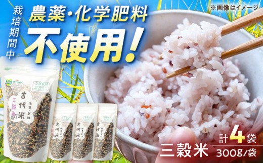 古代米 三穀米 1.2kg（300g×4袋）/永尾 忠則 [UAS008] 雑穀 雑穀米 米 お米【自然農法で育てた】