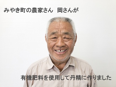 BE023_佐賀県みやき町岡さんちのたまねぎ10kg【２L、３Lサイズ】