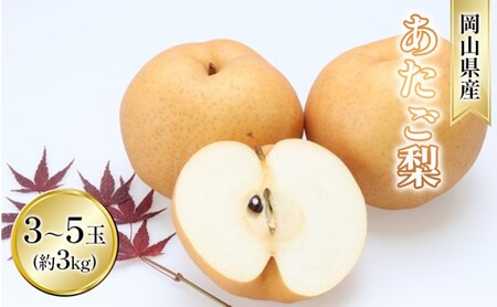 梨 2026年 先行予約 あたご梨 約3kg 3～5玉入り  なし ナシ  岡山県産 国産 フルーツ 果物 ギフト 和梨 デザート 食後 日本一の大きさ 大玉 シャリシャリ