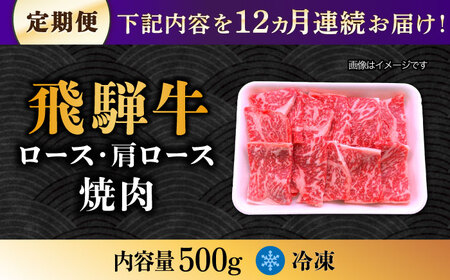 【12回定期便】 飛騨牛 焼肉用 ロース・肩ロース 500g A5等級 多治見市 [TAZ033] 飛騨牛 定期便