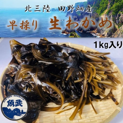 
            2026年先行受付＜期間限定＞早採り生わかめ 1kg【1482533】
          