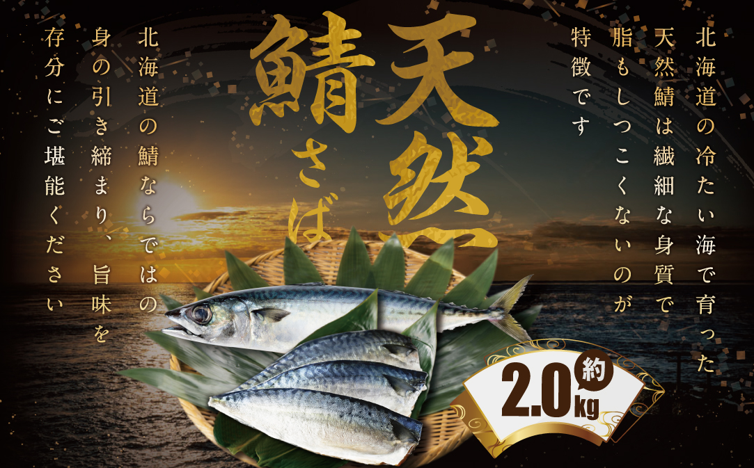 無塩 サバ フィレ 訳あり 2kg【BS0000016】