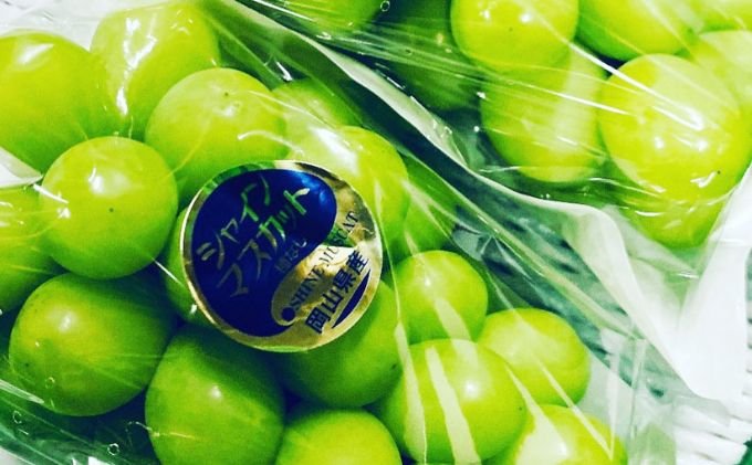 ぶどう 2026年 先行予約 シャイン マスカット 3房 合計2kg以上 ブドウ 葡萄  岡山県産 国産 フルーツ 果物 ギフト 河本農園 果物類 