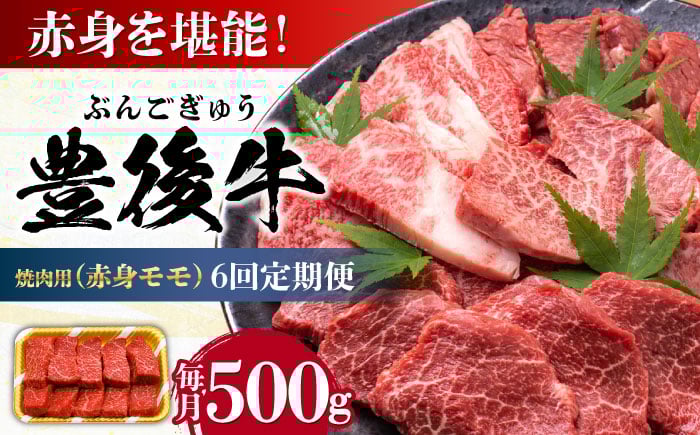 
                  【全6回定期便】おおいた豊後牛 赤身モモ 焼肉用 500g 日田市 / 株式会社MEAT PLUS 牛肉 おおいた豊後牛 おおいた 豊後牛 黒毛和牛 国産 赤身 モモ もも 焼肉 焼肉用 和牛 [AREI093]
                