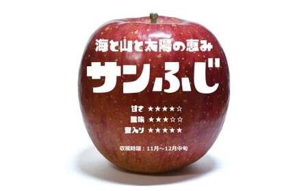 先行予約 ★りんごの王様★ サンふじ入り食べ比べBOX ( 家庭用 小玉) 8個入り りんご 東北 岩手 陸前高田