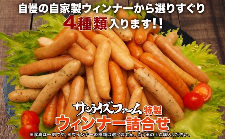いろいろウインナー4種 1kgパック 業務用 自家製 ウインナー ミックス 豚肉 フランクフルト ウィンナー あらびき パセリ チョリソ 長ネギ 肉厚 ジューシー 夕食 ご飯 惣菜 おかず おつまみ 