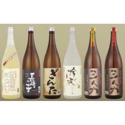 ふるさと納税 佐世保市 【毎月定期便】焼酎一升瓶6種6本飲みくらべセット【梅ヶ枝酒造】全6回