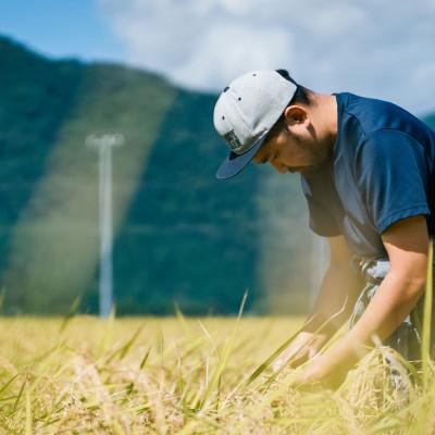 ふるさと納税 白山市 【お米のおくりもの 1合×8個】石川県白山麓のお米　★九谷五彩デザインのオリジナルパッケージ★ |  | 01