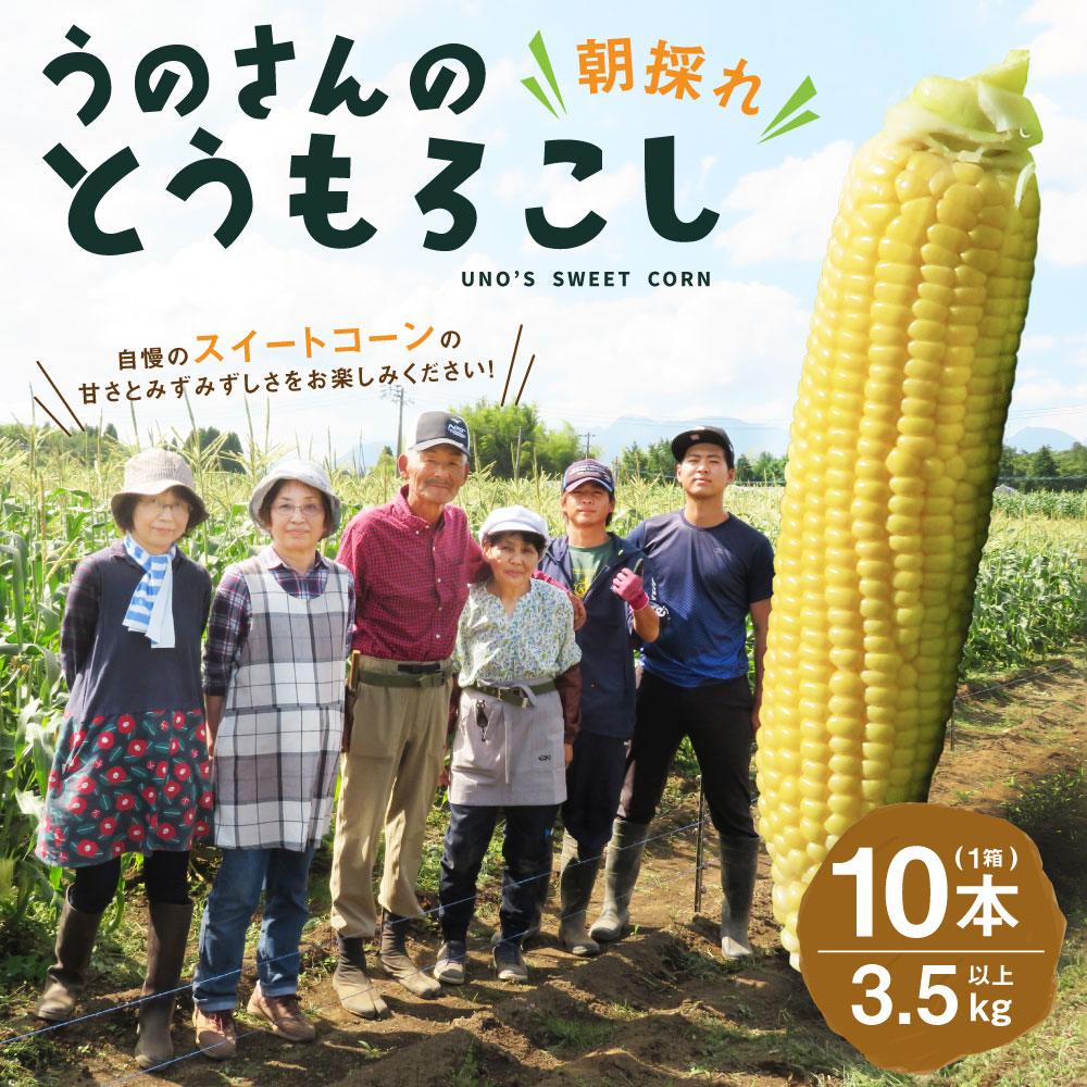 【卯野農場】産地直送！生でも美味しい 朝採れ スイートコーン 10本 3.5kg以上 とうもろこし コーン 【2026年7月上旬-8月下旬発送予定】
