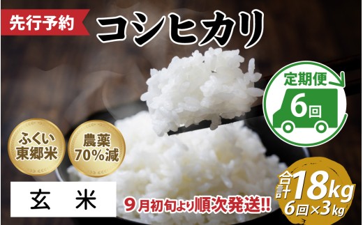 【先行予約】【定期便6ヶ月連続】令和8年産 新米 ふくい東郷米 特別栽培米　農薬70％減コシヒカリ 3kg×6ヶ月 合計18kg「2026年9月初旬より順次発送」【玄米】[E-020022_02]