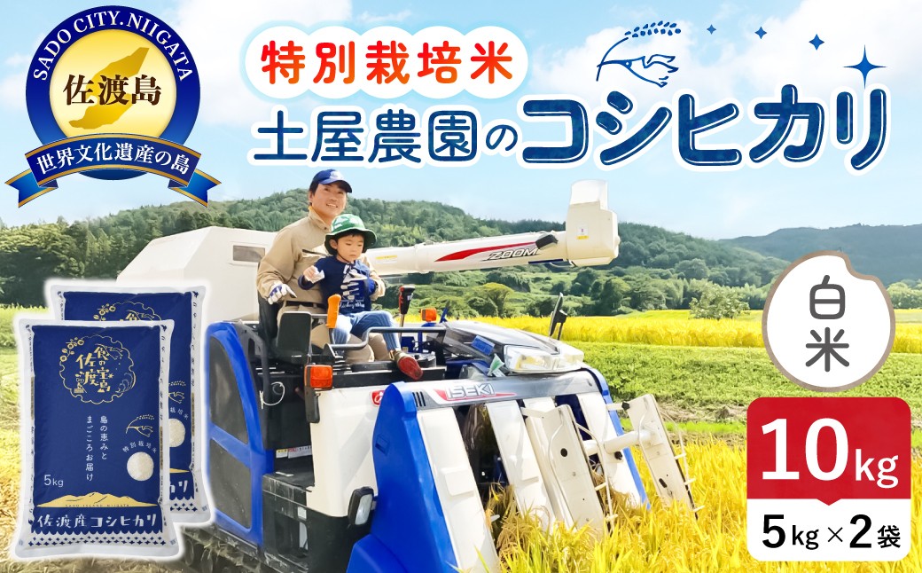 
                  佐渡島産コシヒカリ 白米10kg（5kg×2袋）令和7年産 特別栽培米 単一原料米 農家直送 | 新潟県産コシヒカリ 新潟産コシヒカリ 新潟コシヒカリ 佐渡産コシヒカリ 新潟県産こしひかり 佐渡産こしひかり お米 米 こしひかり 白米 精米 ブランド米 おこめ コメ 10キロ にいがた さど 新潟県 佐渡市
                