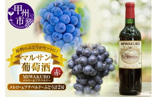 マルサン葡萄酒 MIWAKUBO メルロー&プチベルドーワインとメルロー＆プチベルドーぶどう ちょっとニッチなセットになります！（MG）B13-671 【ワイン マルサン葡萄酒 赤ワイン 甲州市 山梨県】
