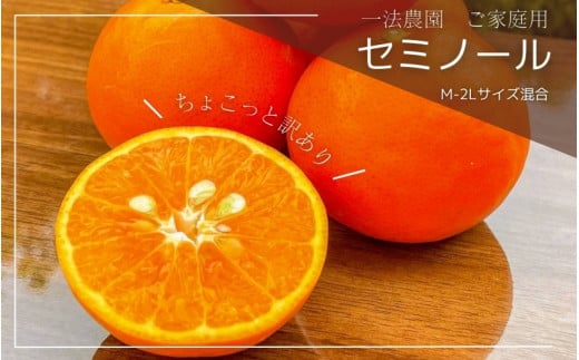 一法農園のセミノール ご家庭用 M-2Lサイズ 5kg ちょこっと訳あり【2026年4月上旬～4月下旬までに順次発送】 / みかん ミカン 蜜柑 セミノール フルーツ 柑橘 果物