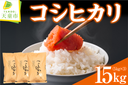 コシヒカリ 15kg [ 令和7年産 ] 米 精米 山形