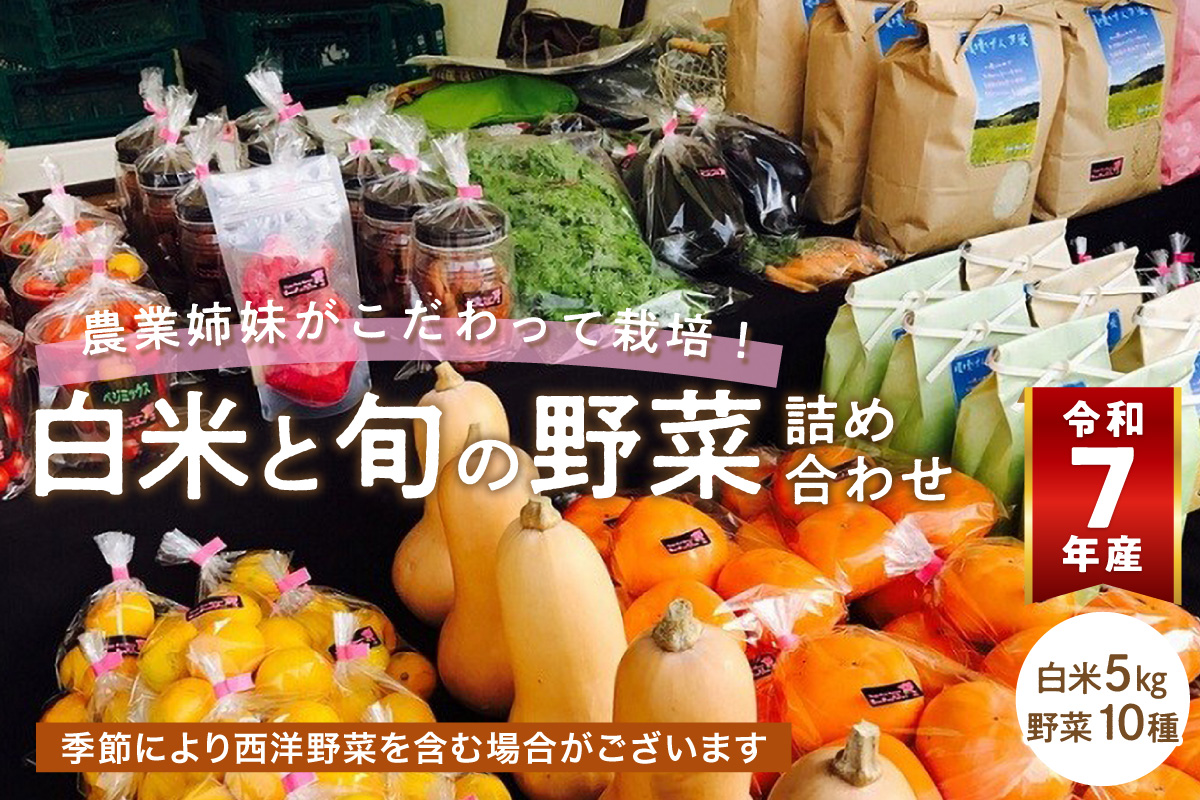 農業姉妹がこだわって栽培！白米5kgと旬の厳選野菜10種【024C-001】