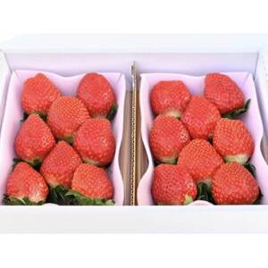 小山の恵み とちおとめ 2パック【配送不可地域：離島・北海道・沖縄県・中国・四国・九州】【1678748】