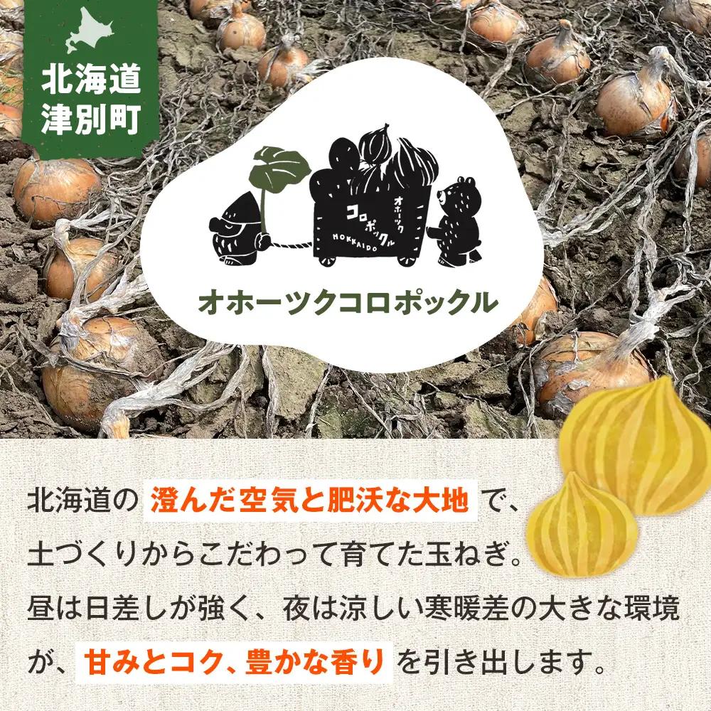 【ふるなびWEEK対象】R8年産 玉ねぎ （L玉・М玉混合） 10kg オホーツクコロポックル | 北海道津別町