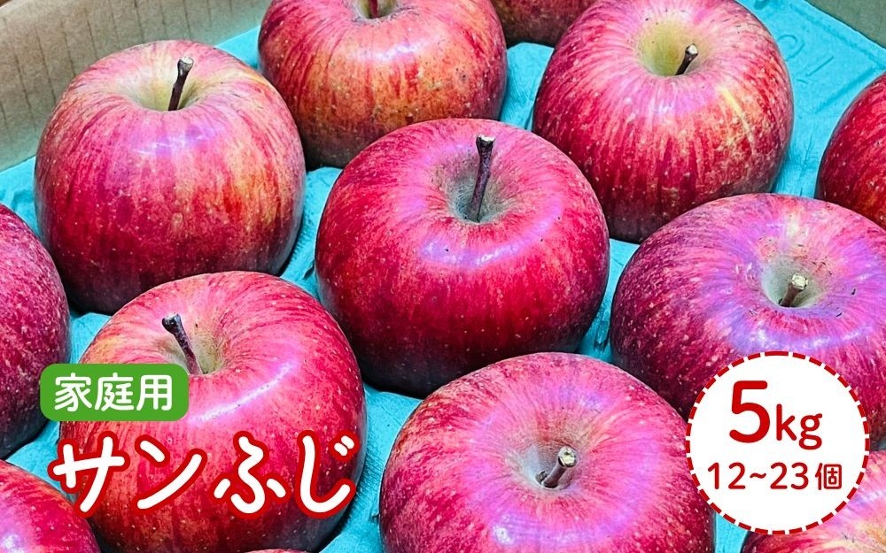
                  りんご（サンふじ）５ｋｇ　１２～２３個　ご家庭用　0065-2610
                