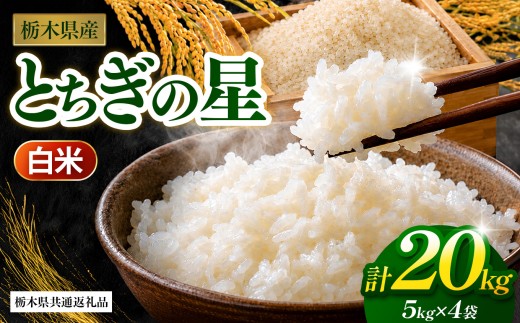 【先行予約】 とちぎの星（白米）約 20kg 栃木県共通返礼品｜とちぎの星 米 白米 おいしい お米 こめ おこめ 白米 精米 国産 ごはん ご飯 白飯 米 おこめ 白米 精米ゴハン ランキング 人気  ふるさと 納税 栃木県 那珂川町 送料無料