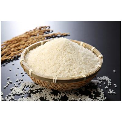 ふるさと納税 糸魚川市 能生米コシヒカリ 5kg 白米 |  | 02