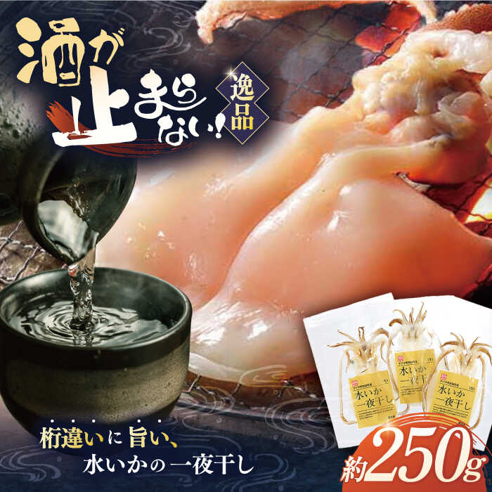 【ふるさと納税】【身が厚く柔らかい】漁師の水烏賊一夜干し 約250g（2～3枚） 平戸市 / 中野漁業協同組合 [KAB062] 干物 乾物 イカ 一夜干し