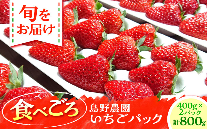 【先行予約】【数量限定20セット】島野農園のいちご（400g×2パック） 紅ほっぺ ほしうらら スターナイト 【島野農園】 [AKHV002]