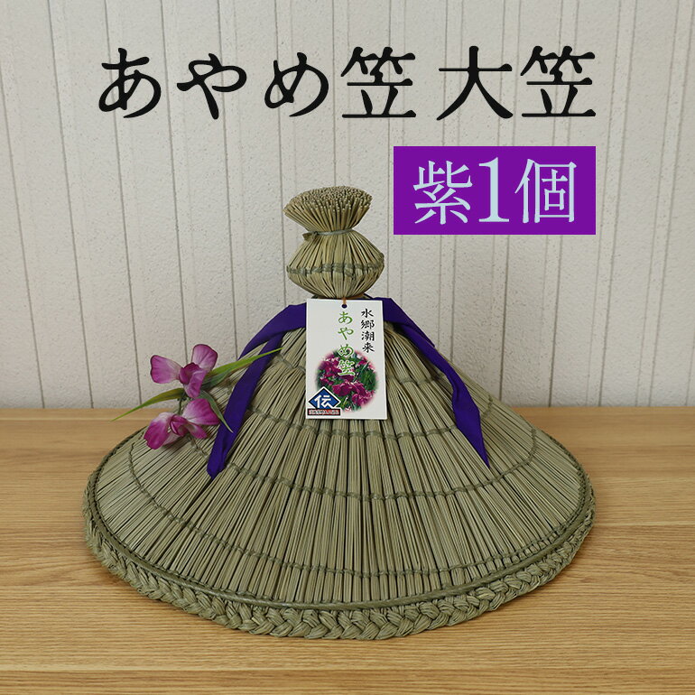 【ふるさと納税】あやめ笠 大笠 赤 1個 手作り 九州熊本産い草使用 伝統工芸品 笠 帽子 風情ある和風雑貨 職人手作業 茨城県 潮来市 (A24-004)