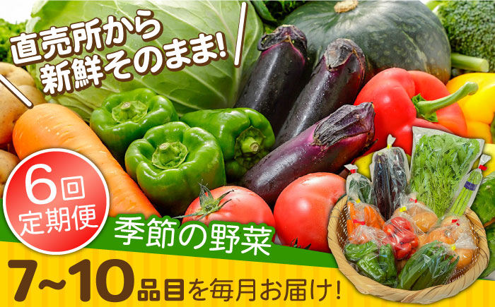 【6回定期便】直売所より発送！季節の野菜セット 7～10品目 / 野菜定期便 野菜 やさい 旬 詰め合わせ / 南島原市 / ながさき南部生産組合 [SBW004]