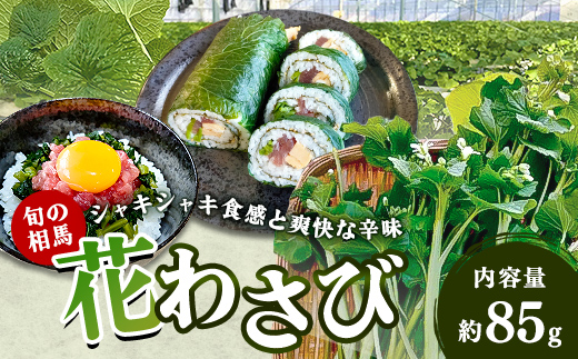 
                  旬の相馬 花わさび 約85g  薬味 野菜 食品 FAI-0043
                