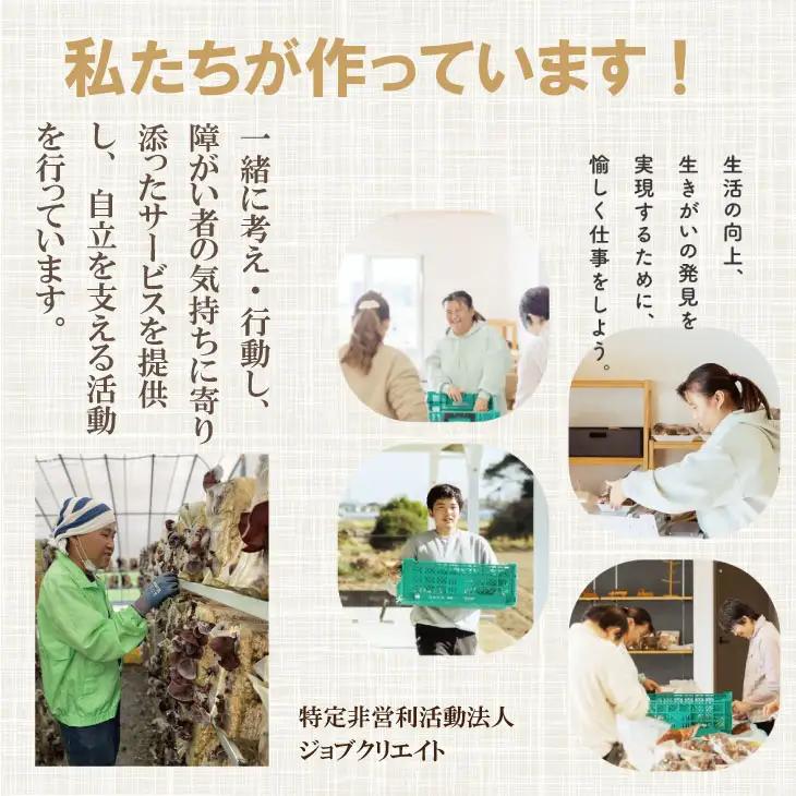 まるごと濃縮！いちじく ＆ ブルーベリー ジャム セット （190g×各2個） ジョブクリエイト ジャム B100-010